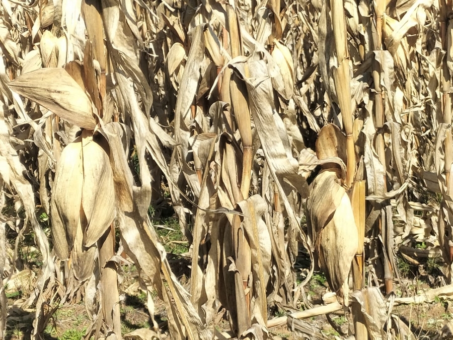 4 Bedroom Property for Sale in Bethlehem Rural Free State